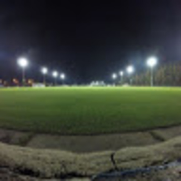 Meet your Posher, Zavier - Picture 1 of 1